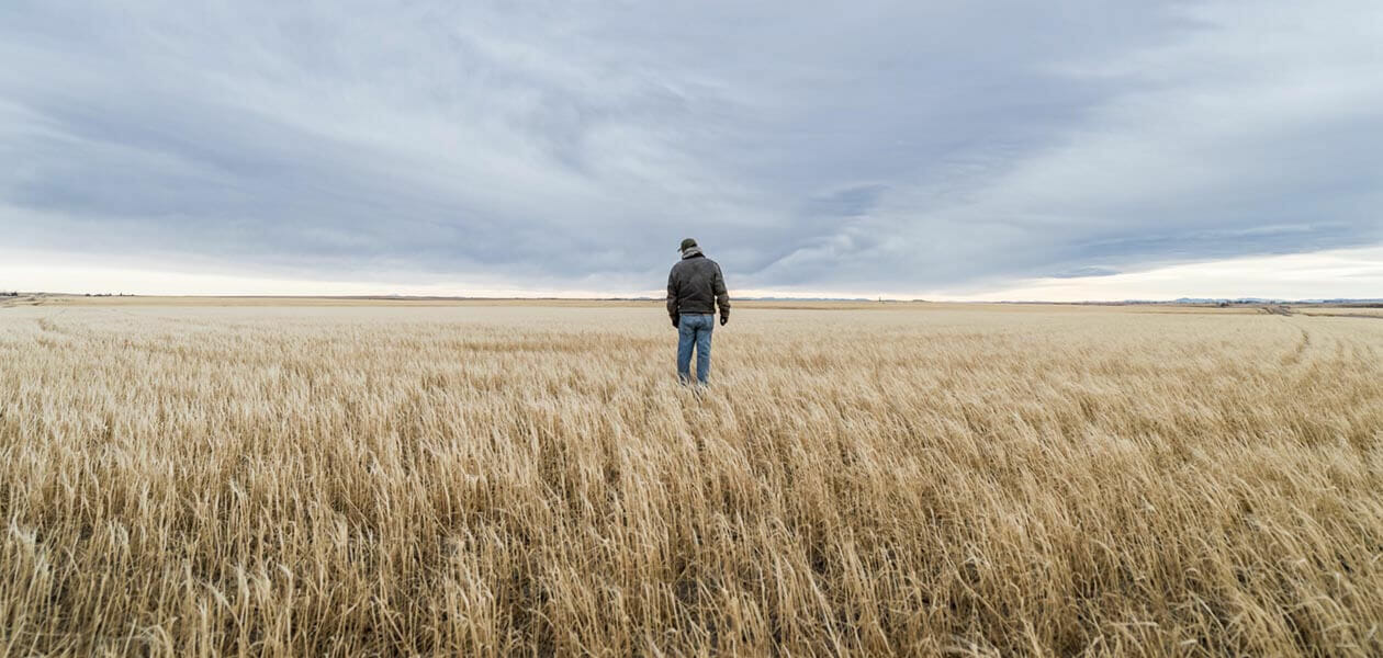 Climate Change Threatens Montana S Barley Farmers And