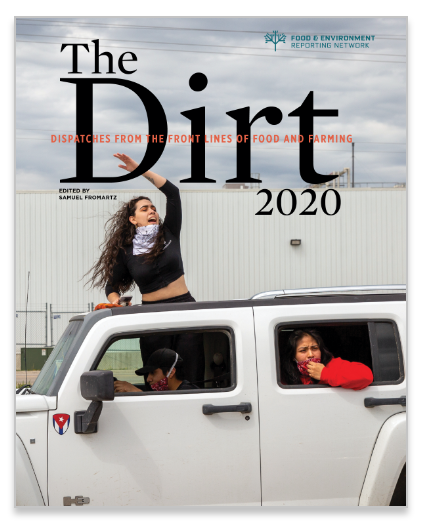 The Dirt 2019